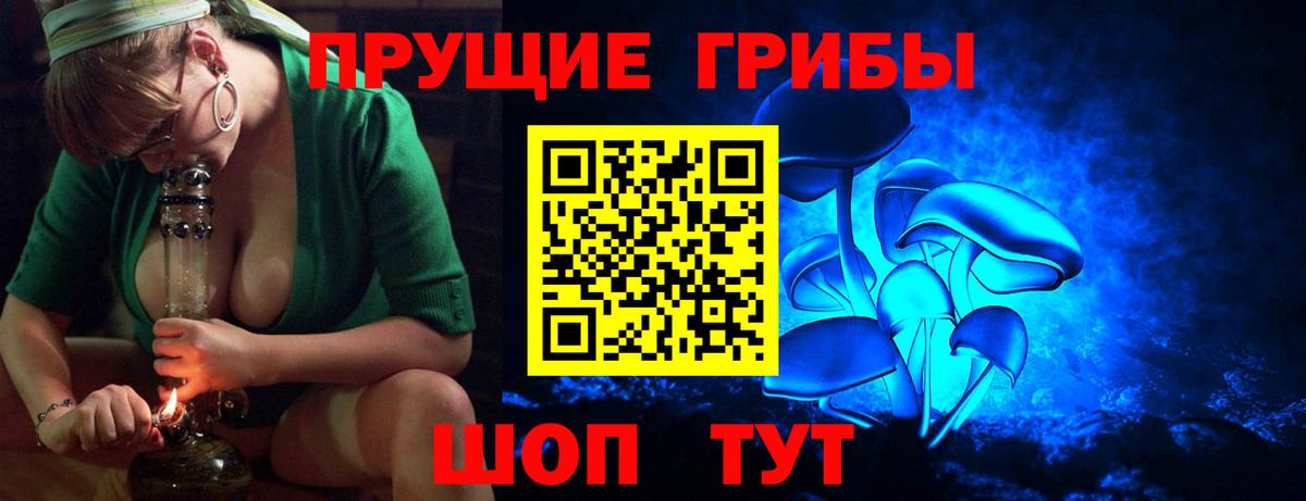 Галлюциногенные грибы GOLDEN TEACHER Жуковский
