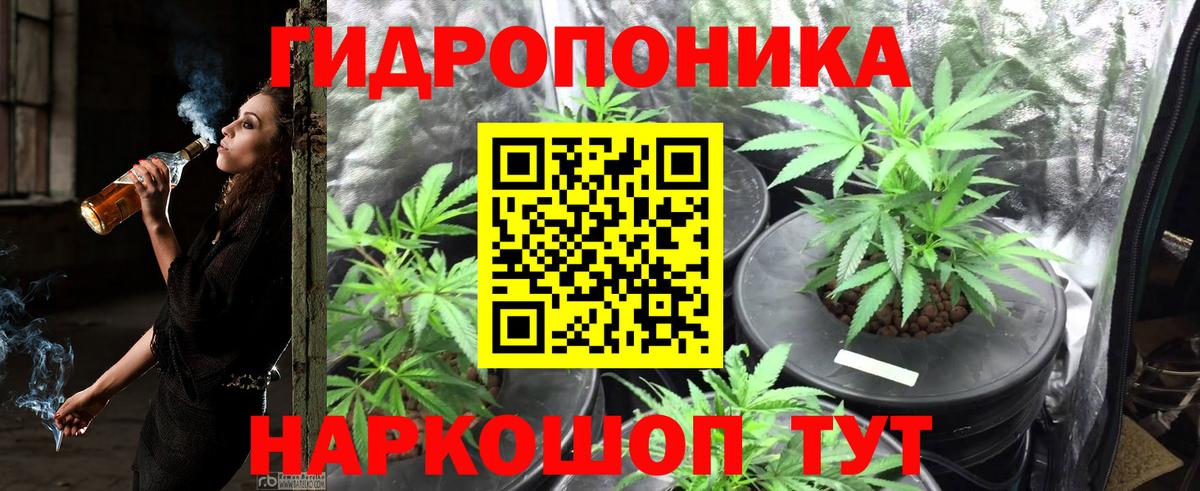 Каннабис White Widow Жуковский